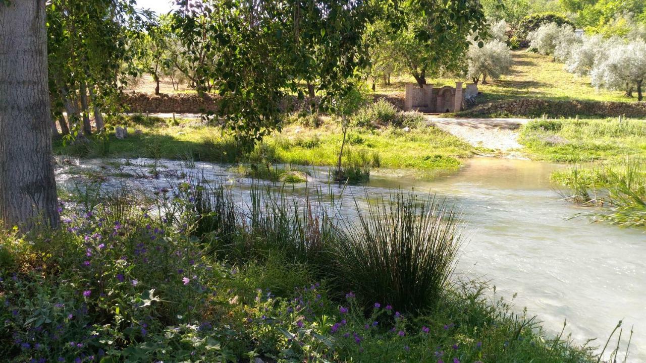 El Sendero *